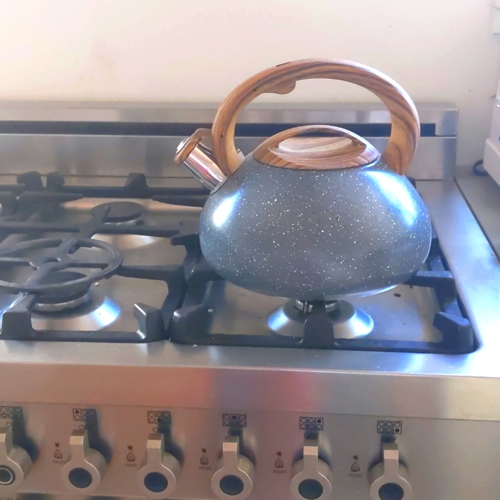 Tiilan Tea Kettle